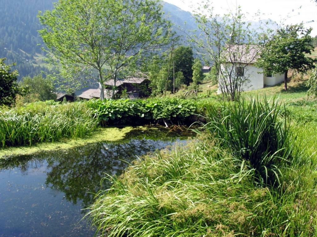 Haus Diezig Goms Bagian luar foto